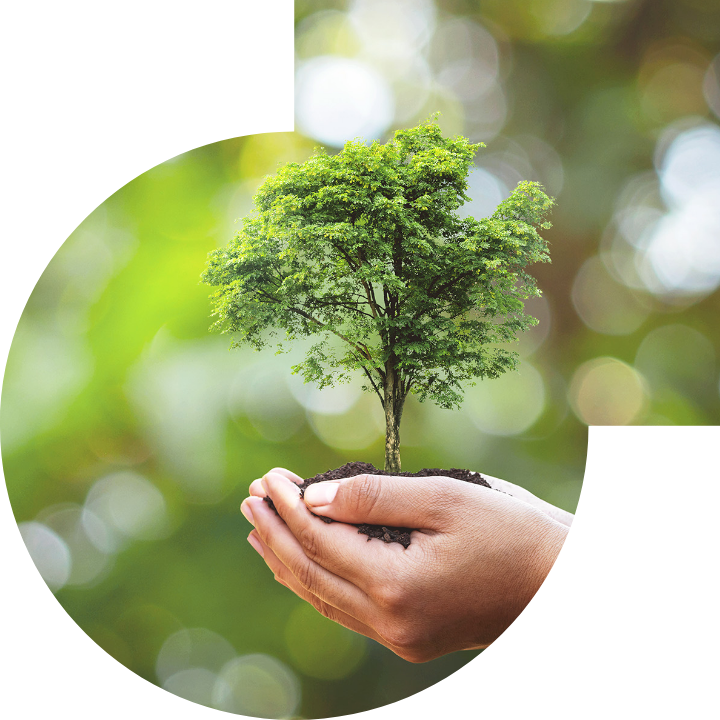 關懷人類、文化、環境與社會